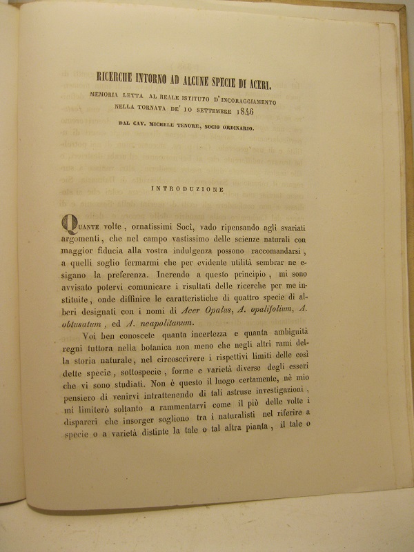 Ricerche intorno ad alcune specie di aceri. Memoria letta al Reale Istituto d'Incoraggaimento nella tornata...